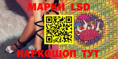 mdma Кингисепп